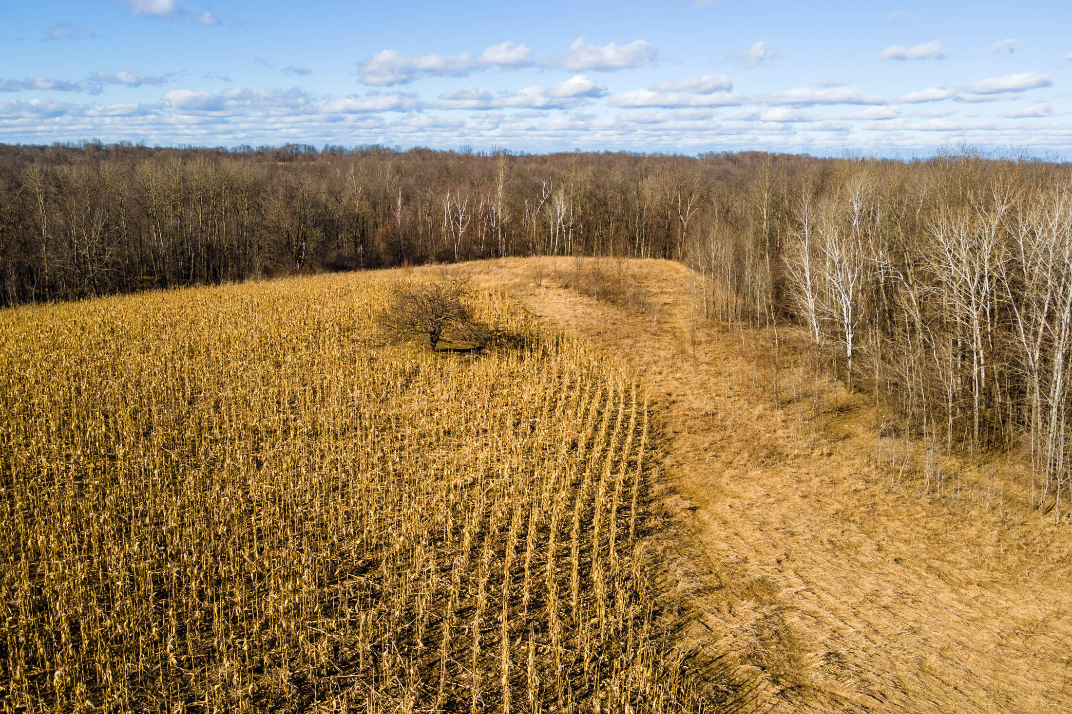 Lt0 Lt0 County Road Boscobel, WI 53805 - Photo 16 of 74 Crawford-County-WI-86-Acres-Land-For-Sal