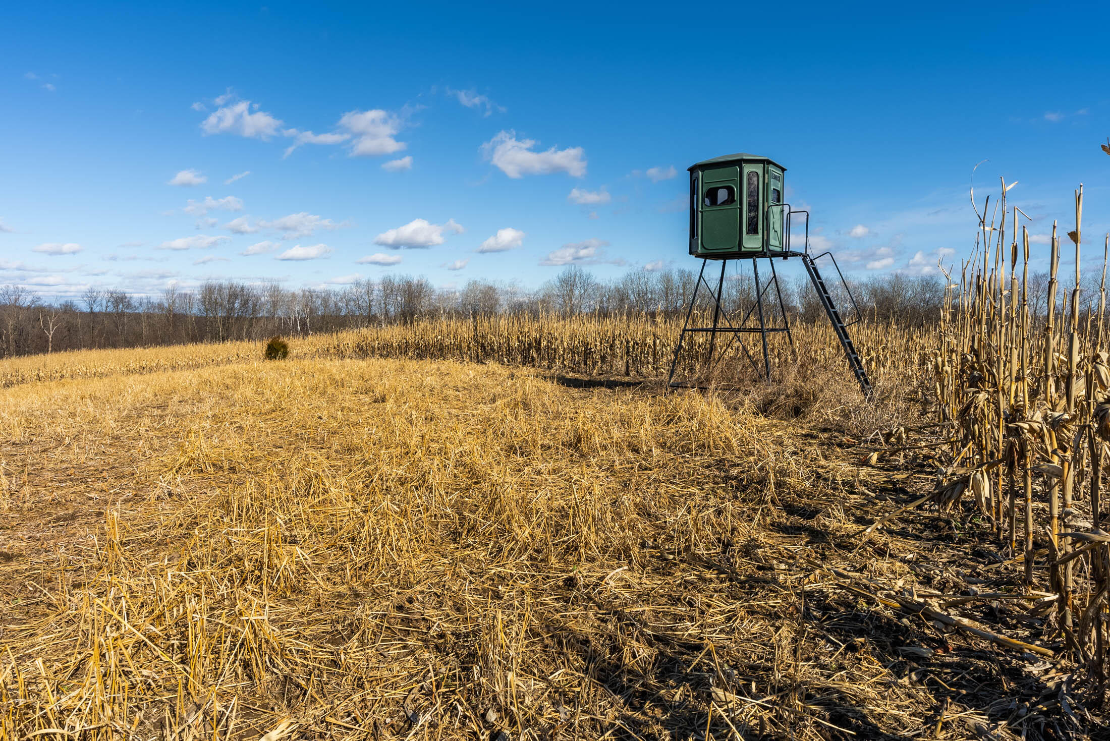 Lt0 Lt0 County Road Boscobel, WI 53805 - Photo 18 of 74 Crawford-County-WI-86-Acres-Land-For-Sal