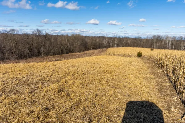 $650,000 | Lt0 Lt0 County Road, Boscobel, WI 53805