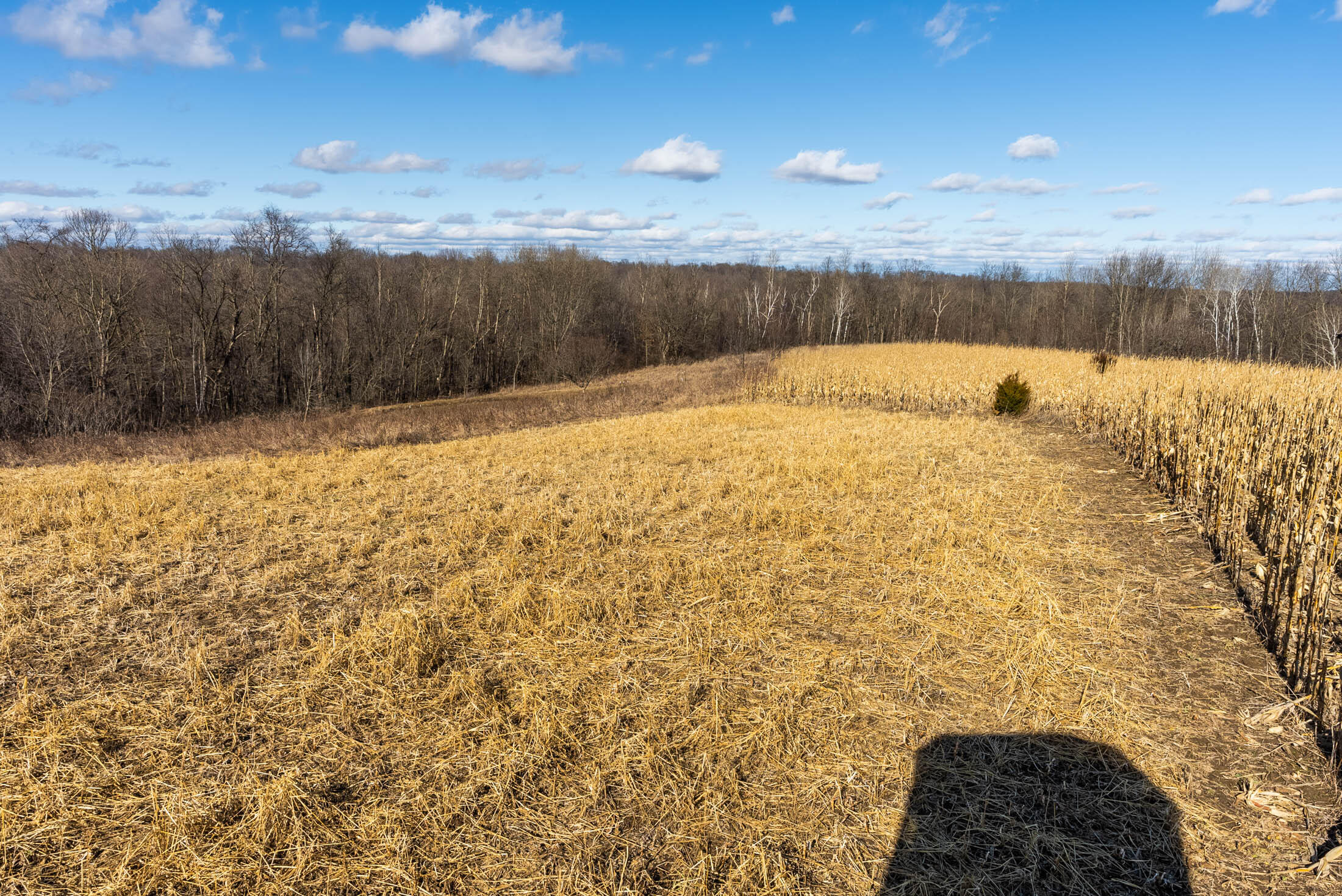 Lt0 Lt0 County Road Boscobel, WI 53805 - Photo 19 of 74 Crawford-County-WI-86-Acres-Land-For-Sal
