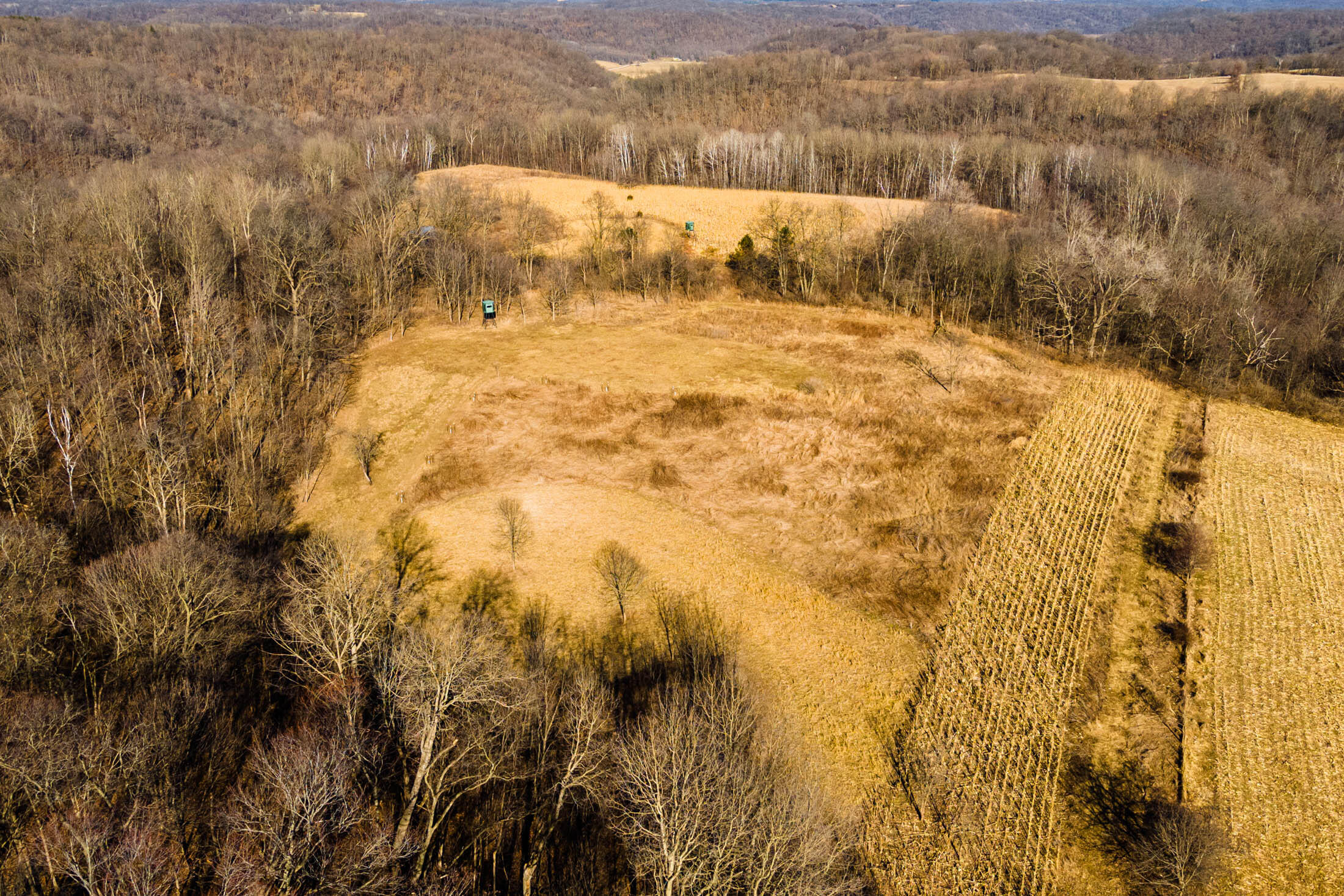 Lt0 Lt0 County Road Boscobel, WI 53805 - Photo 2 of 74 Crawford-County-WI-86-Acres-Land-For-Sal