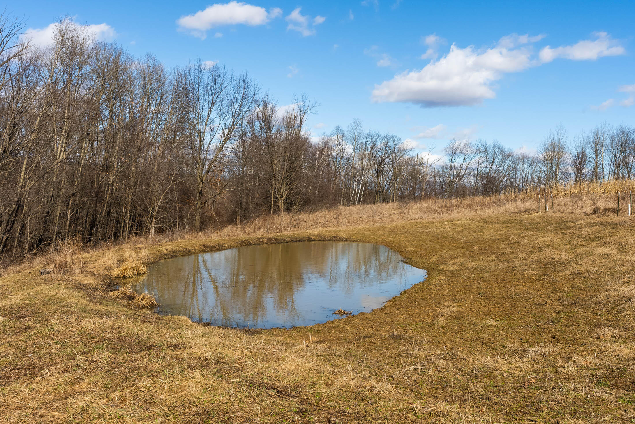 Lt0 Lt0 County Road Boscobel, WI 53805 - Photo 21 of 74 Crawford-County-WI-86-Acres-Land-For-Sal