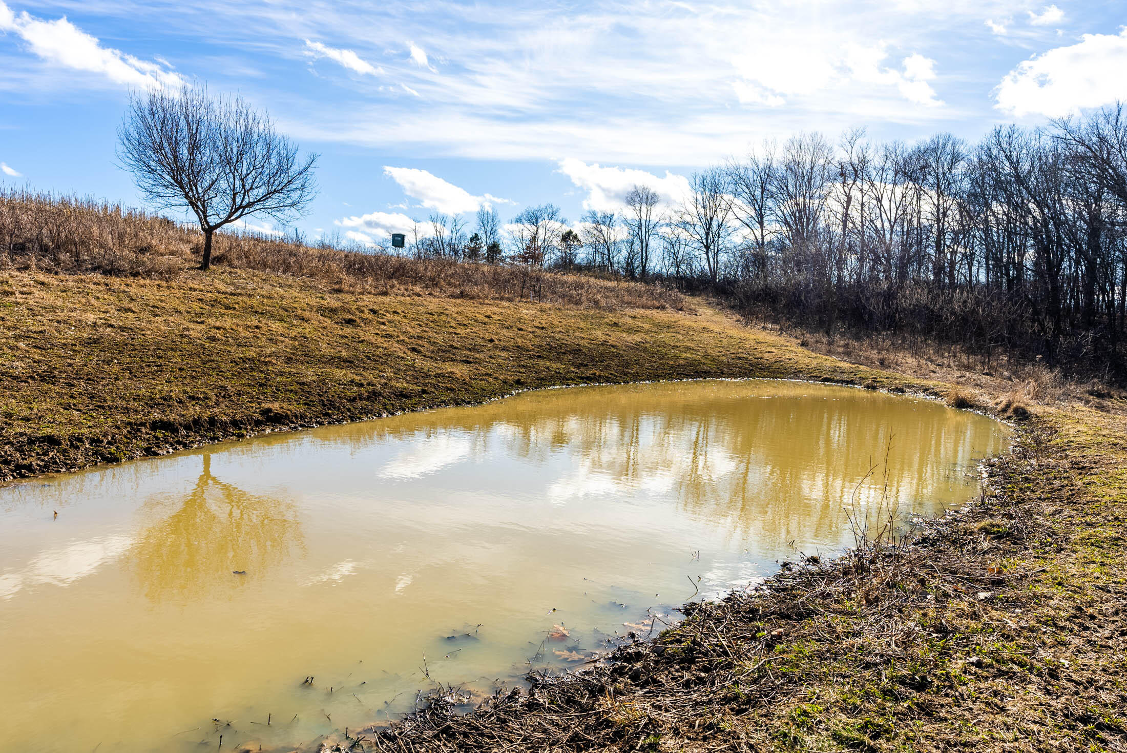 Lt0 Lt0 County Road Boscobel, WI 53805 - Photo 22 of 74 Crawford-County-WI-86-Acres-Land-For-Sal