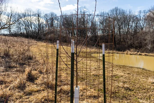 $650,000 | Lt0 Lt0 County Road, Boscobel, WI 53805