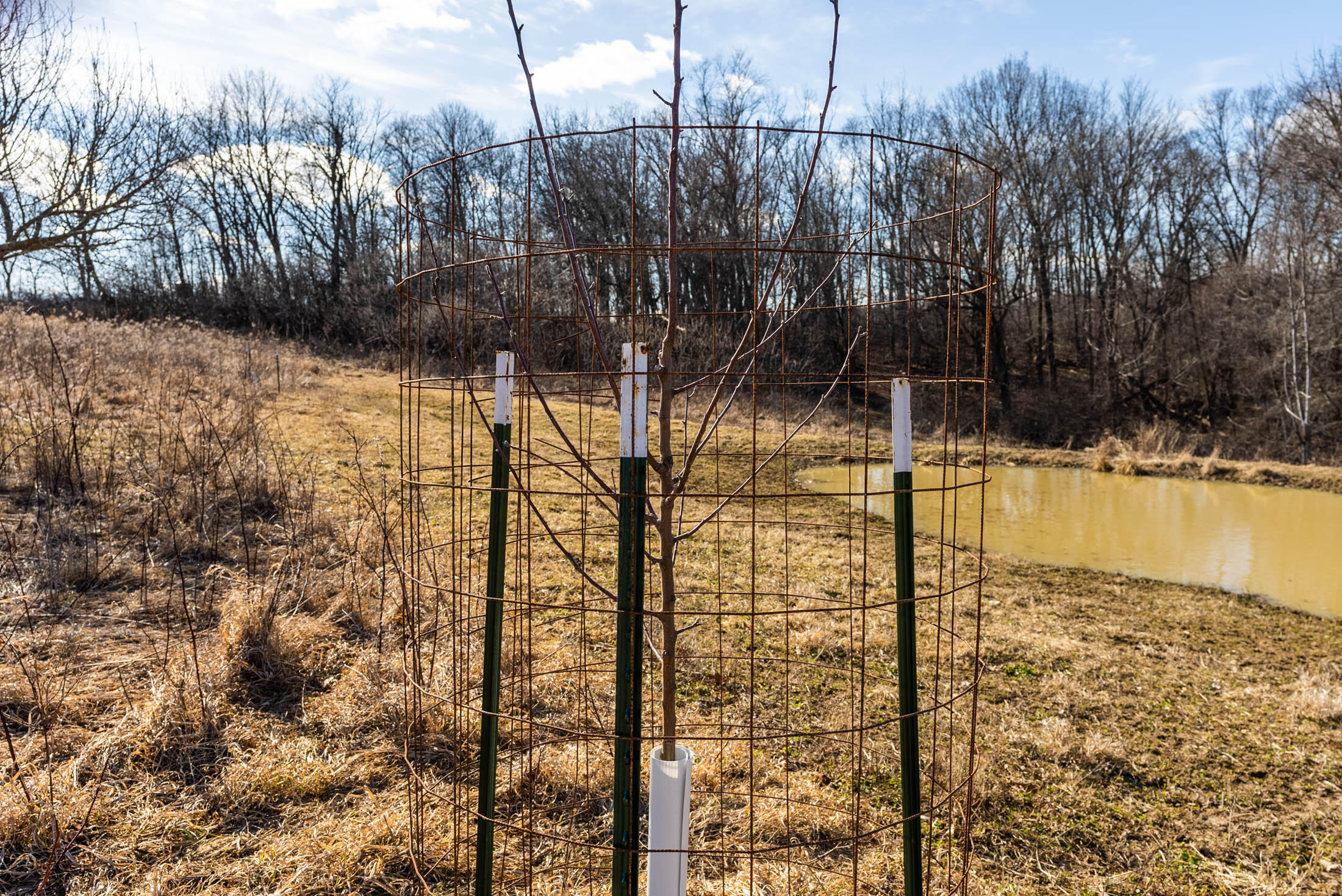 Lt0 Lt0 County Road Boscobel, WI 53805 - Photo 23 of 74 Crawford-County-WI-86-Acres-Land-For-Sal