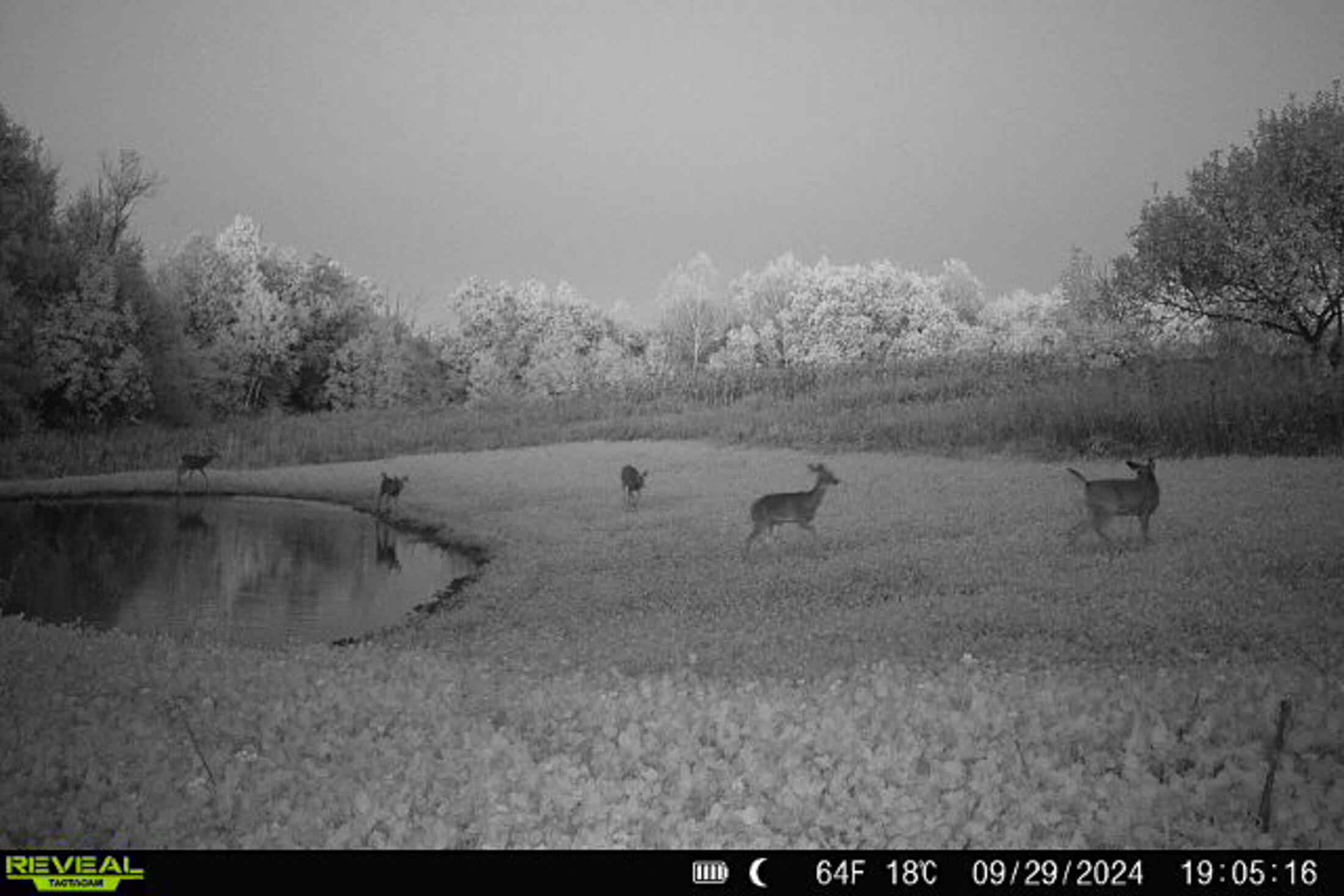 Lt0 Lt0 County Road Boscobel, WI 53805 - Photo 25 of 74 Crawford-County-WI-86-Acres-Land-For-Sal