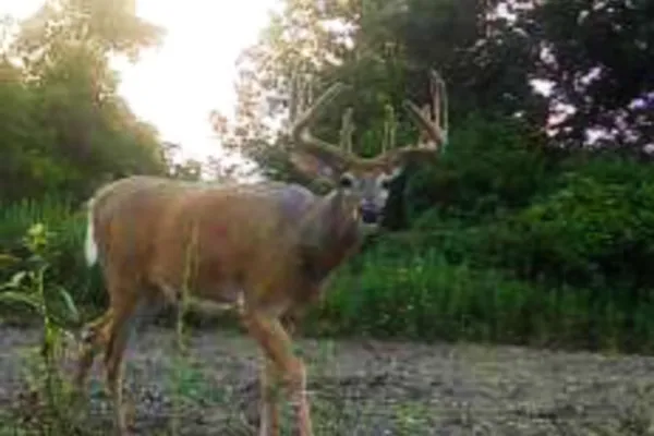 $650,000 | Lt0 Lt0 County Road, Boscobel, WI 53805