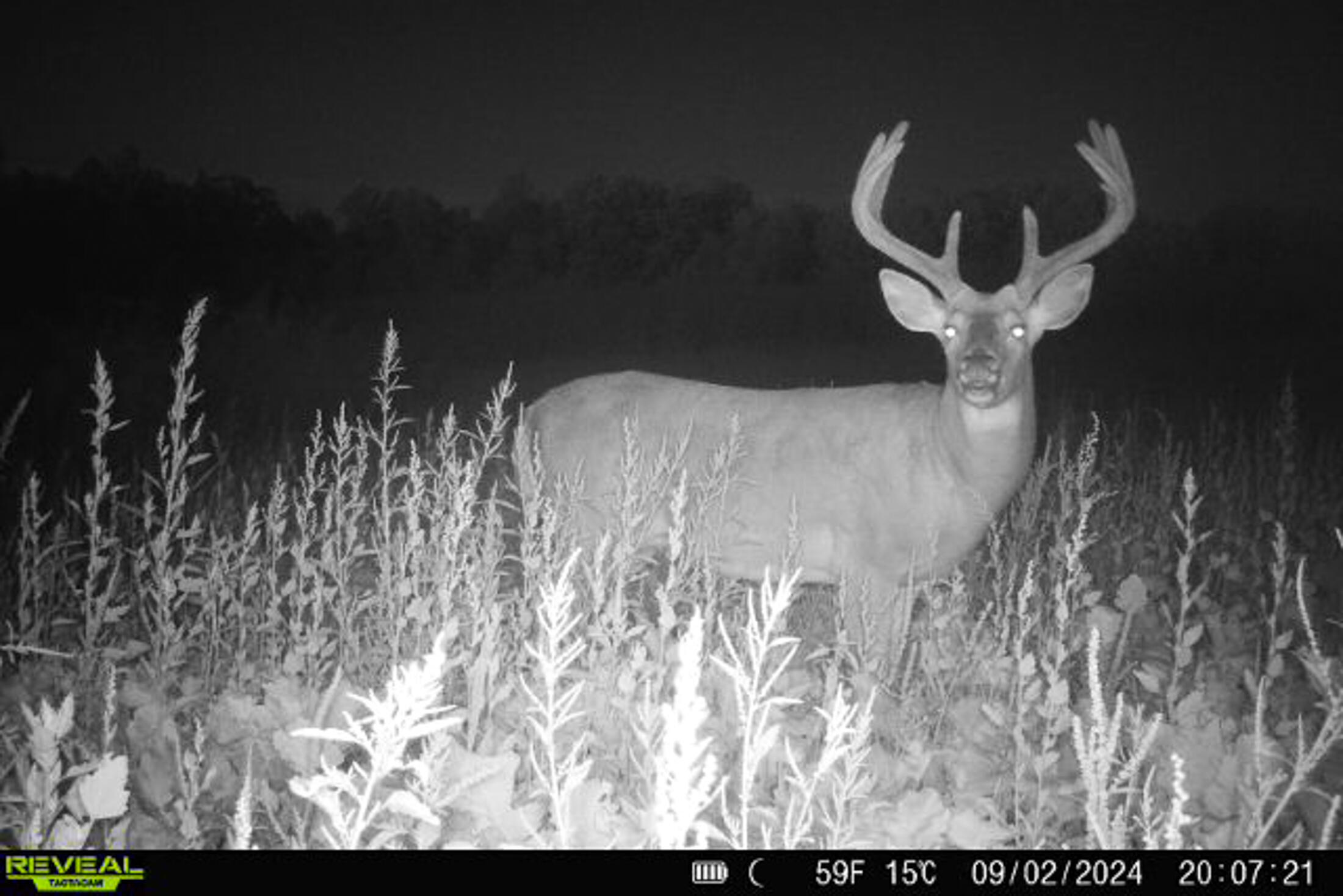 Lt0 Lt0 County Road Boscobel, WI 53805 - Photo 28 of 74 Crawford-County-WI-86-Acres-Land-For-Sal