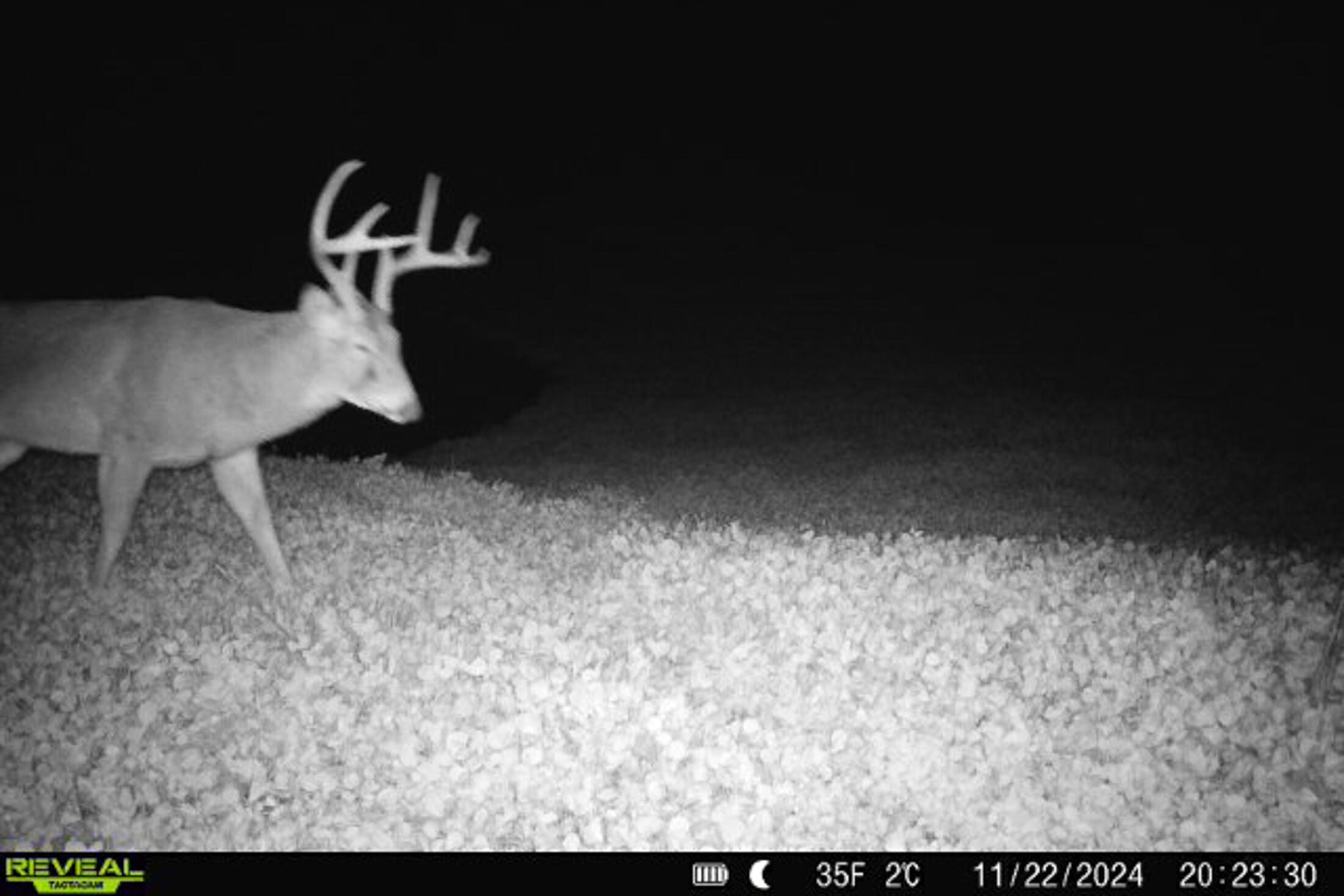 Lt0 Lt0 County Road Boscobel, WI 53805 - Photo 29 of 74 Crawford-County-WI-86-Acres-Land-For-Sal