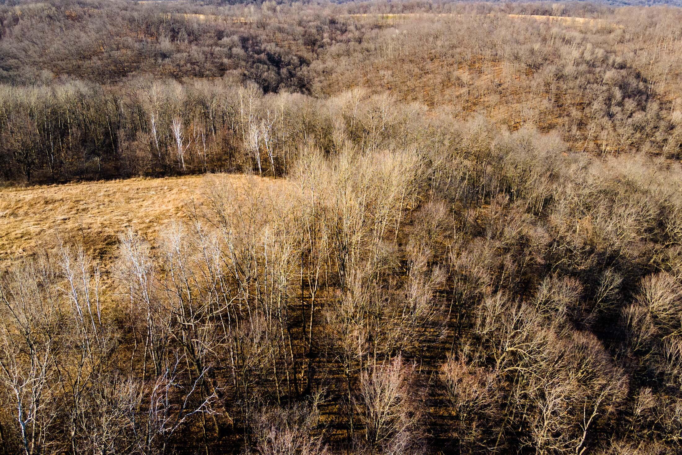 Lt0 Lt0 County Road Boscobel, WI 53805 - Photo 30 of 74 Crawford-County-WI-86-Acres-Land-For-Sal