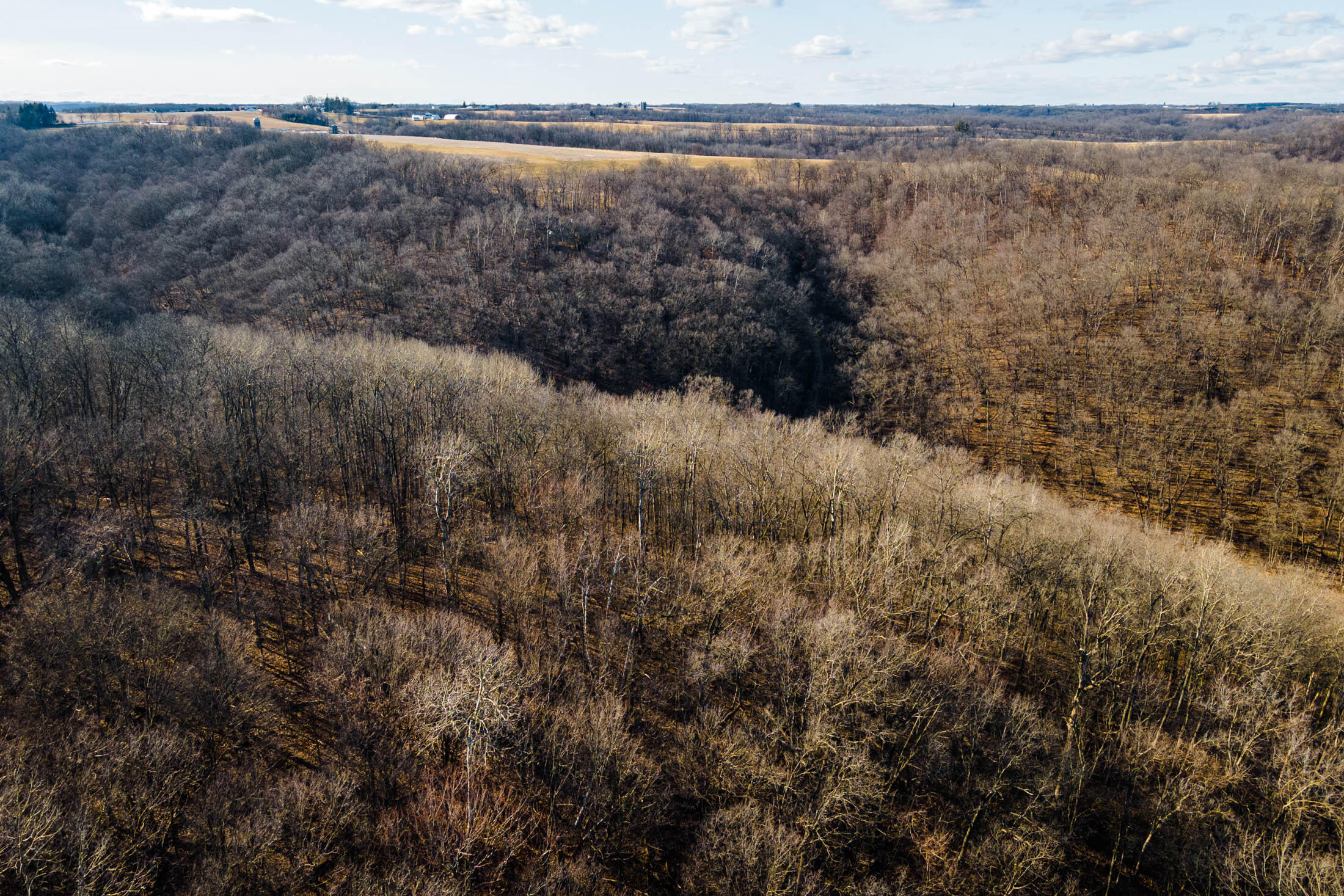 Lt0 Lt0 County Road Boscobel, WI 53805 - Photo 31 of 74 Crawford-County-WI-86-Acres-Land-For-Sal