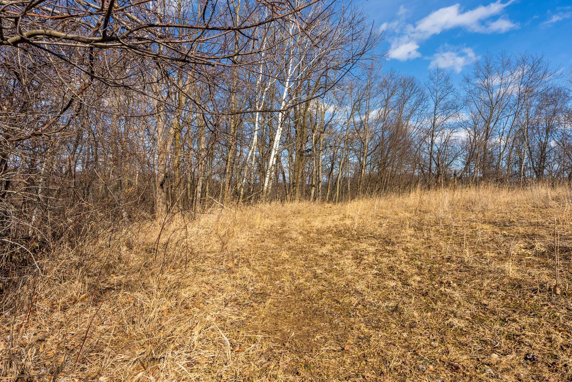 Lt0 Lt0 County Road Boscobel, WI 53805 - Photo 32 of 74 Crawford-County-WI-86-Acres-Land-For-Sal