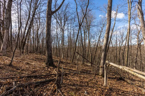 $650,000 | Lt0 Lt0 County Road, Boscobel, WI 53805