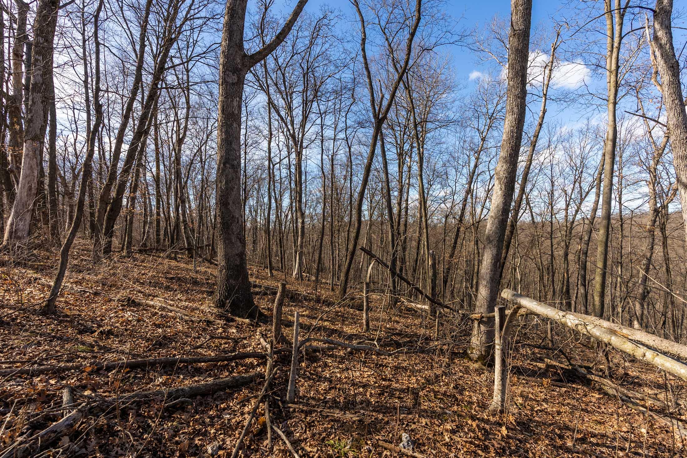 Lt0 Lt0 County Road Boscobel, WI 53805 - Photo 33 of 74 Crawford-County-WI-86-Acres-Land-For-Sal
