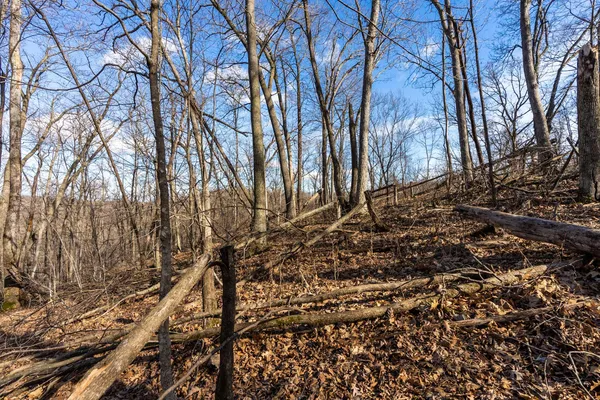 $650,000 | Lt0 Lt0 County Road, Boscobel, WI 53805