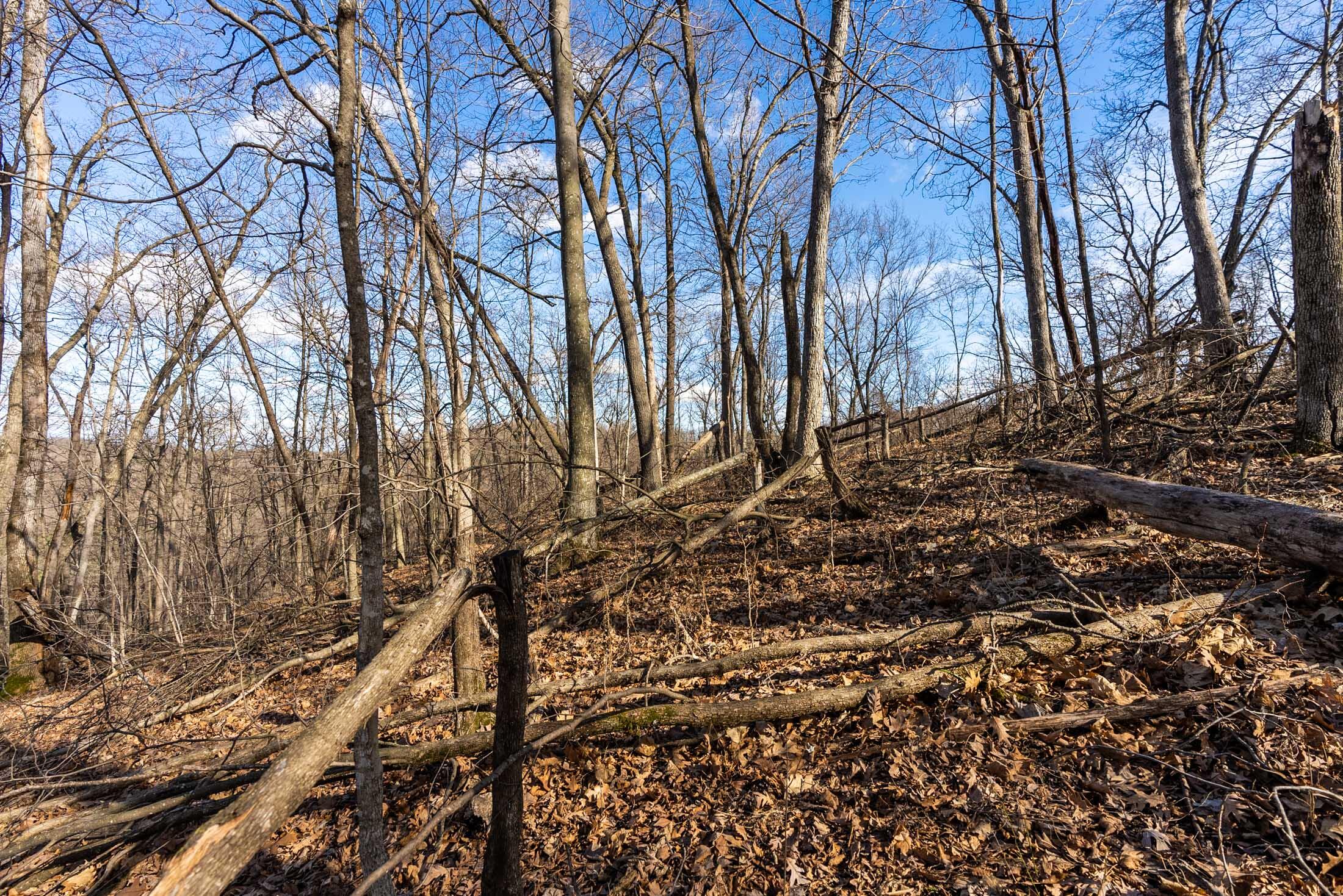 Lt0 Lt0 County Road Boscobel, WI 53805 - Photo 34 of 74 Crawford-County-WI-86-Acres-Land-For-Sal