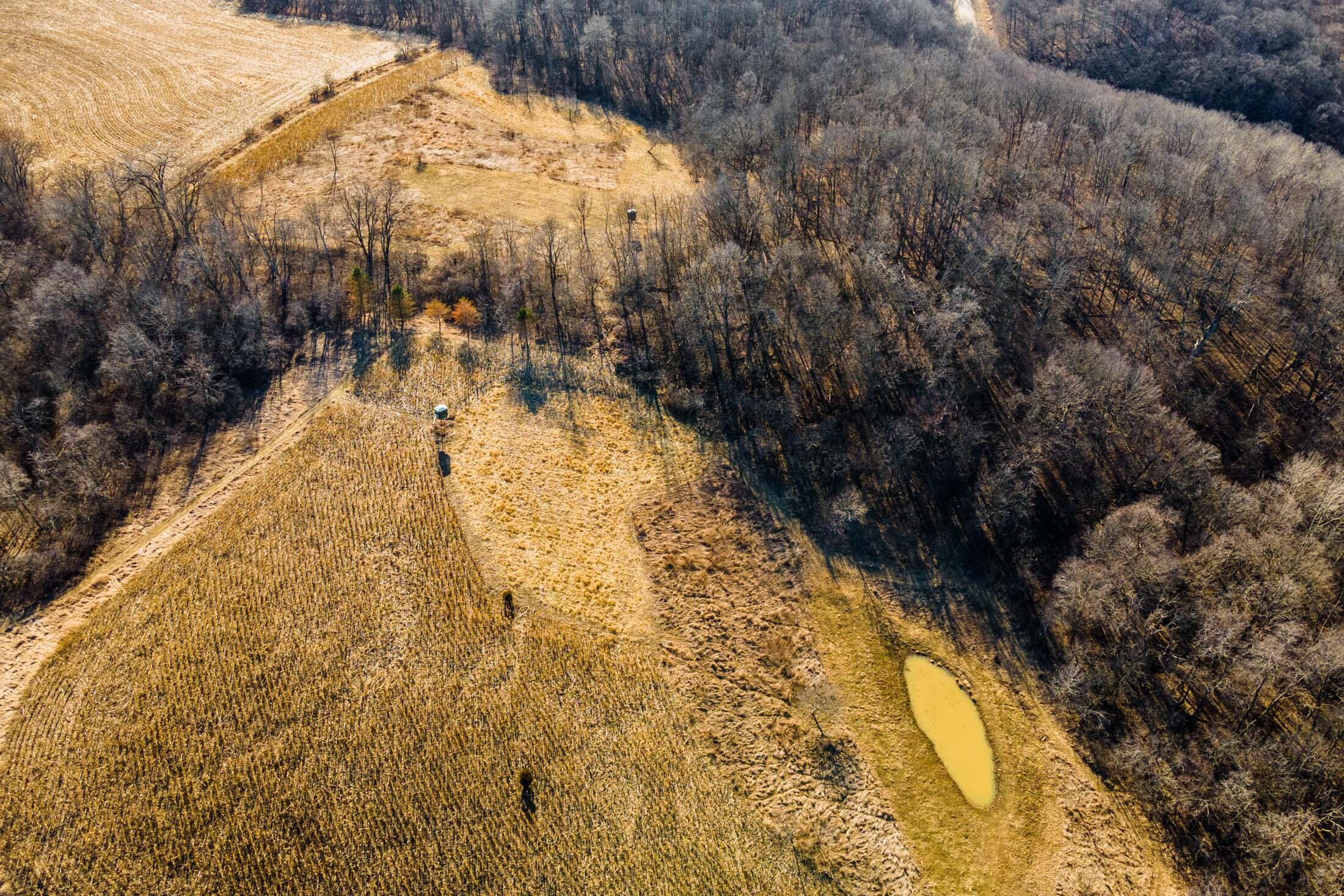 Lt0 Lt0 County Road Boscobel, WI 53805 - Photo 35 of 74 Crawford-County-WI-86-Acres-Land-For-Sal