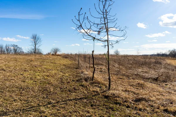 $650,000 | Lt0 Lt0 County Road, Boscobel, WI 53805