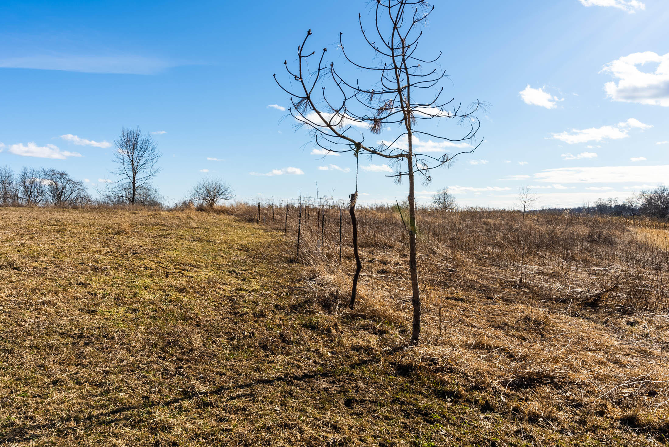 Lt0 Lt0 County Road Boscobel, WI 53805 - Photo 37 of 74 Crawford-County-WI-86-Acres-Land-For-Sal
