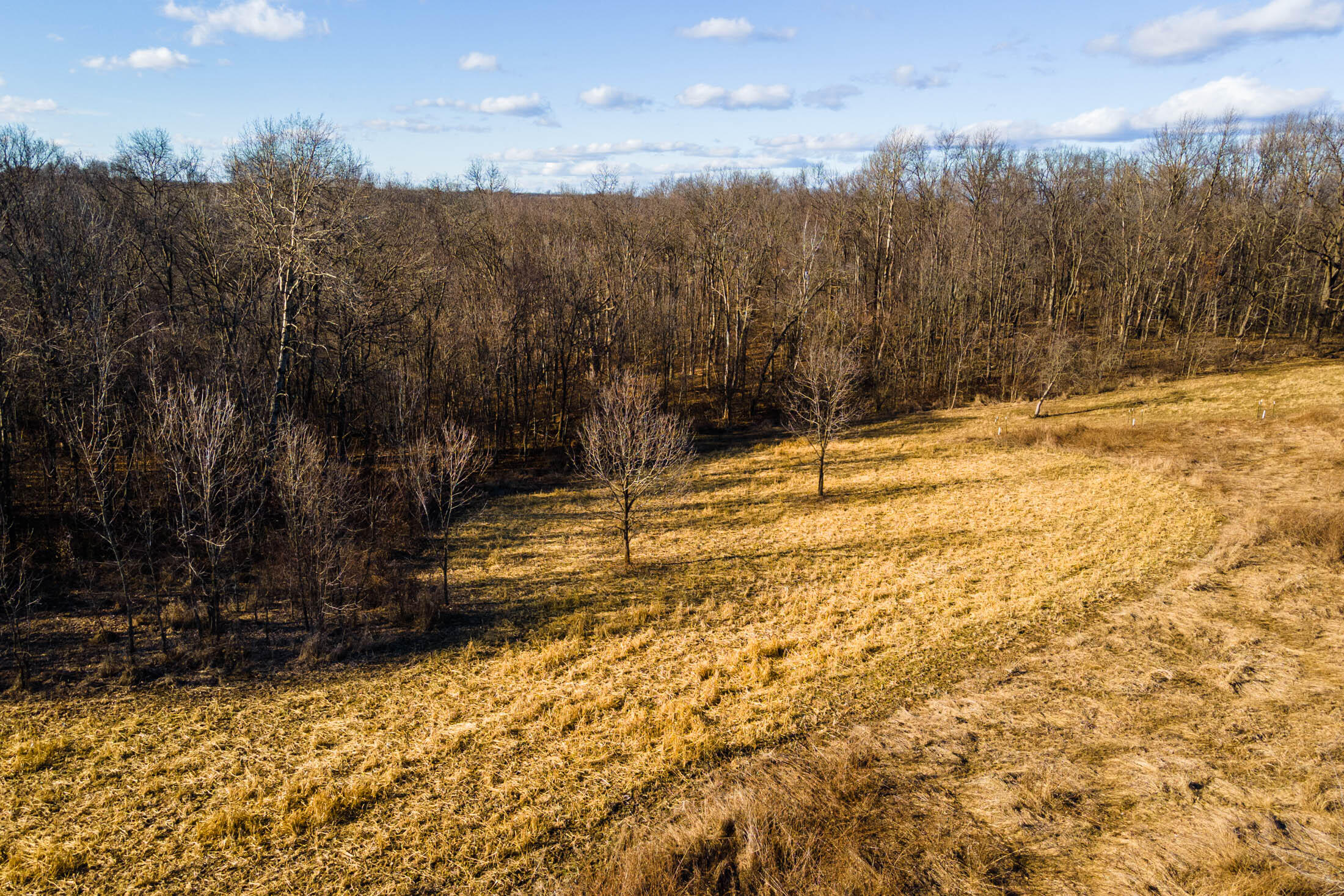 Lt0 Lt0 County Road Boscobel, WI 53805 - Photo 39 of 74 Crawford-County-WI-86-Acres-Land-For-Sal