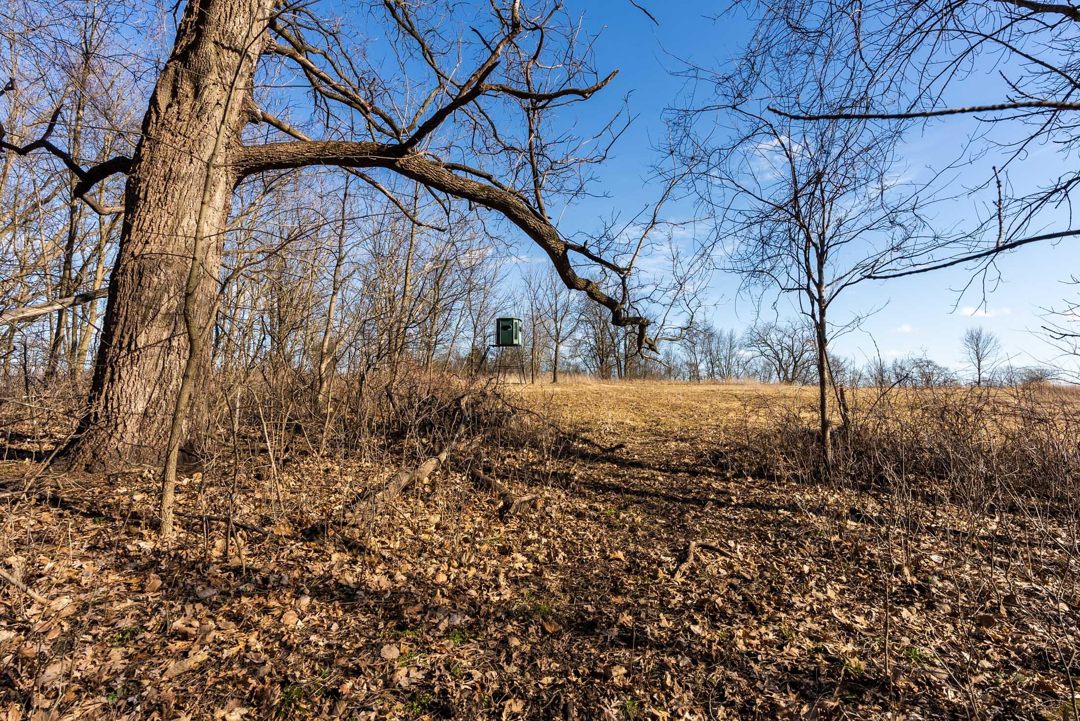 Lt0 Lt0 County Road Boscobel, WI 53805 - Photo 40 of 74 Crawford-County-WI-86-Acres-Land-For-Sal