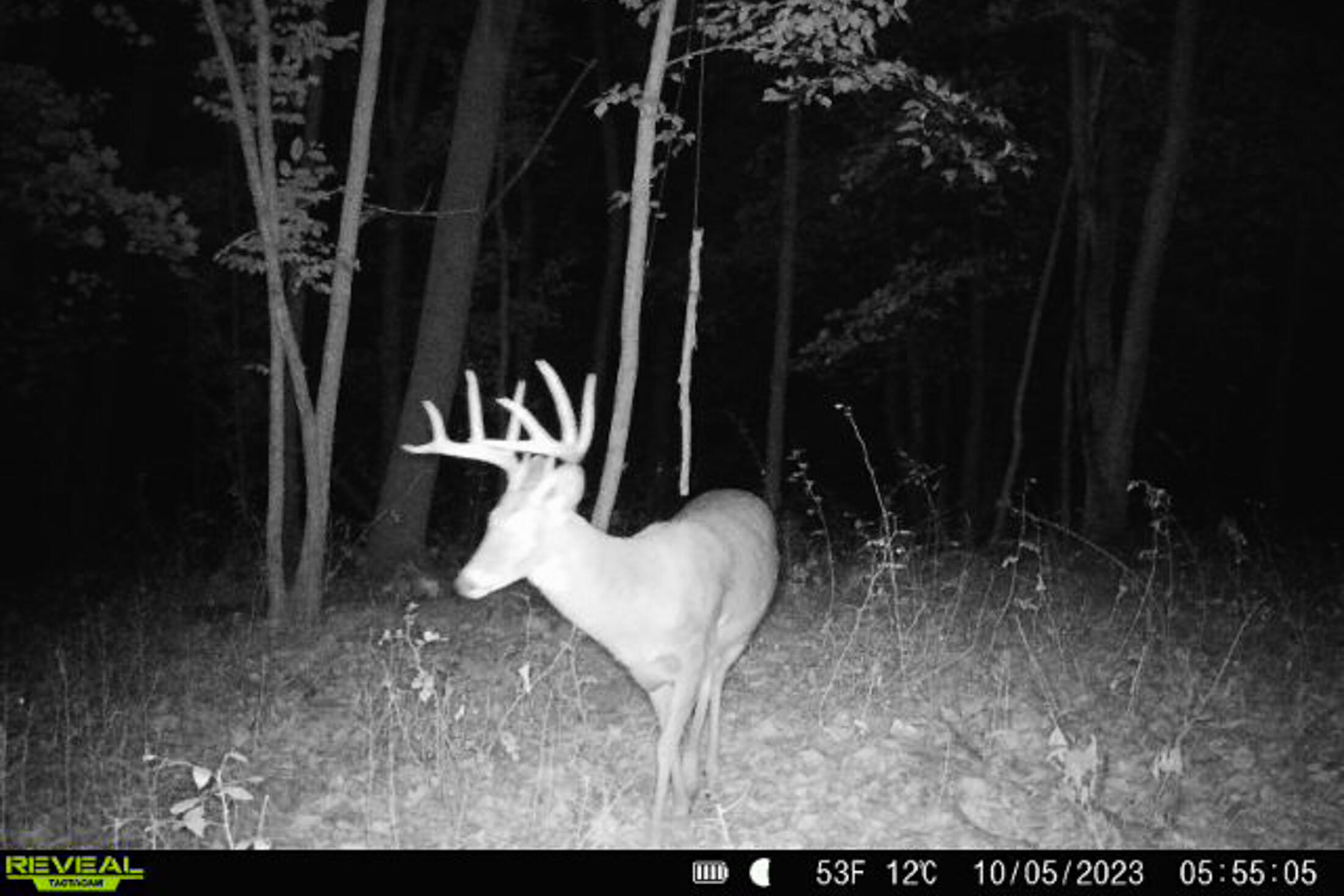 Lt0 Lt0 County Road Boscobel, WI 53805 - Photo 4 of 74 Crawford-County-WI-86-Acres-Land-For-Sal