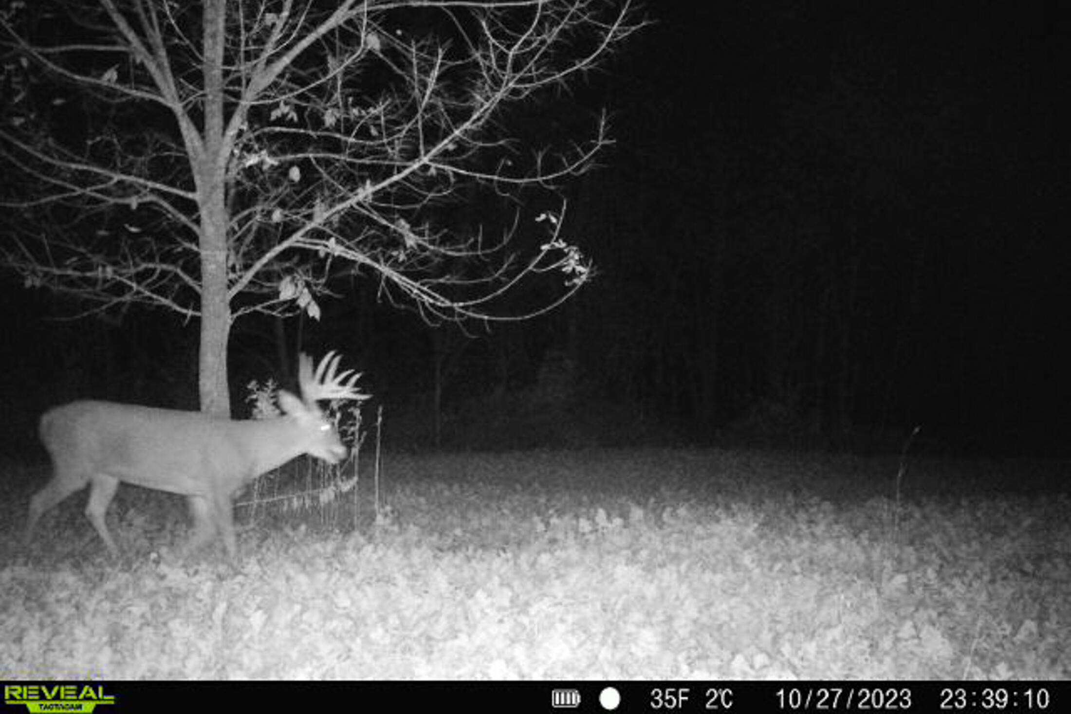 Lt0 Lt0 County Road Boscobel, WI 53805 - Photo 41 of 74 Crawford-County-WI-86-Acres-Land-For-Sal