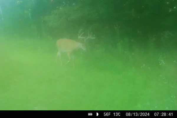 $650,000 | Lt0 Lt0 County Road, Boscobel, WI 53805