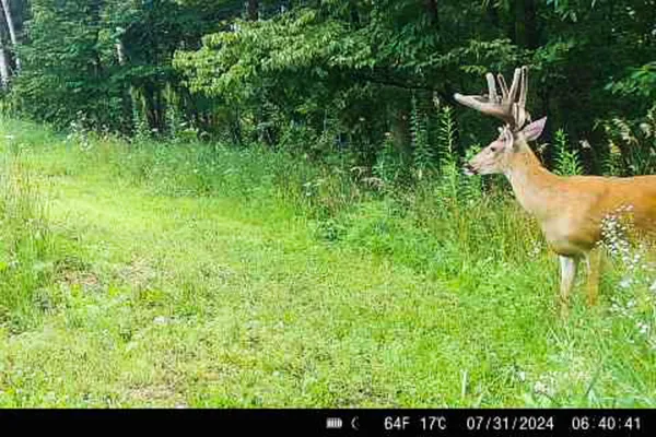 $650,000 | Lt0 Lt0 County Road, Boscobel, WI 53805