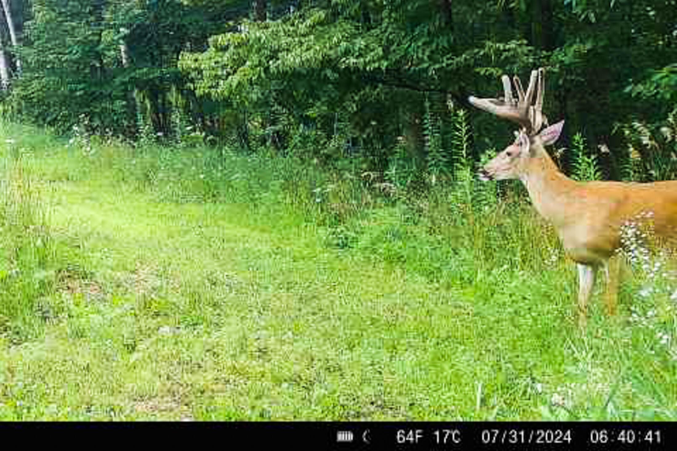 Lt0 Lt0 County Road Boscobel, WI 53805 - Photo 46 of 74 Crawford-County-WI-86-Acres-Land-For-Sal