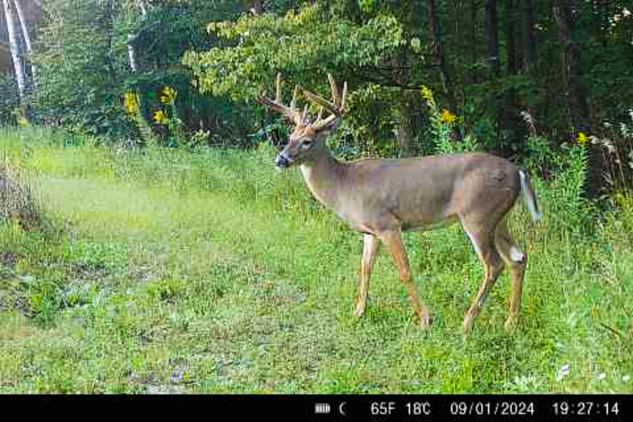 Lt0 Lt0 County Road Boscobel, WI 53805 - Photo 47 of 74 Crawford-County-WI-86-Acres-Land-For-Sal