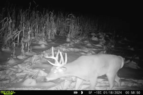 $650,000 | Lt0 Lt0 County Road, Boscobel, WI 53805