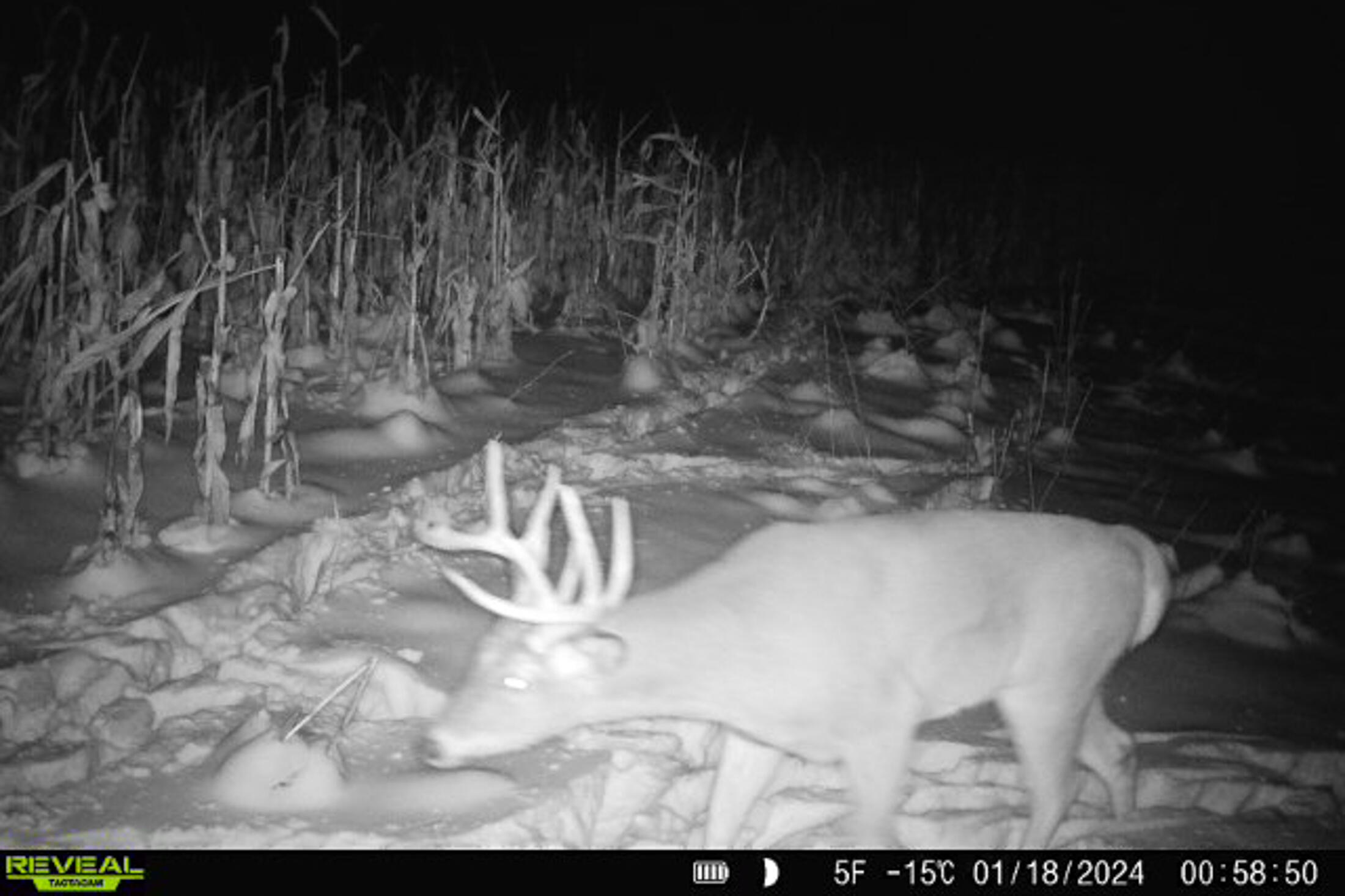 Lt0 Lt0 County Road Boscobel, WI 53805 - Photo 48 of 74 Crawford-County-WI-86-Acres-Land-For-Sal