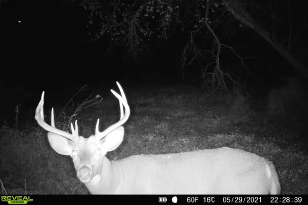 $650,000 | Lt0 Lt0 County Road, Boscobel, WI 53805