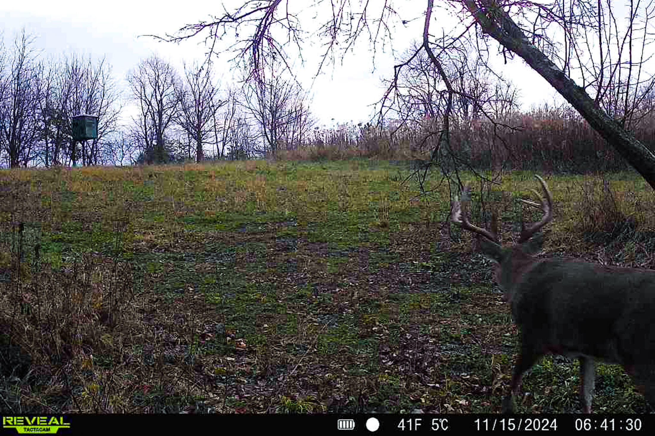 Lt0 Lt0 County Road Boscobel, WI 53805 - Photo 50 of 74 Crawford-County-WI-86-Acres-Land-For-Sal
