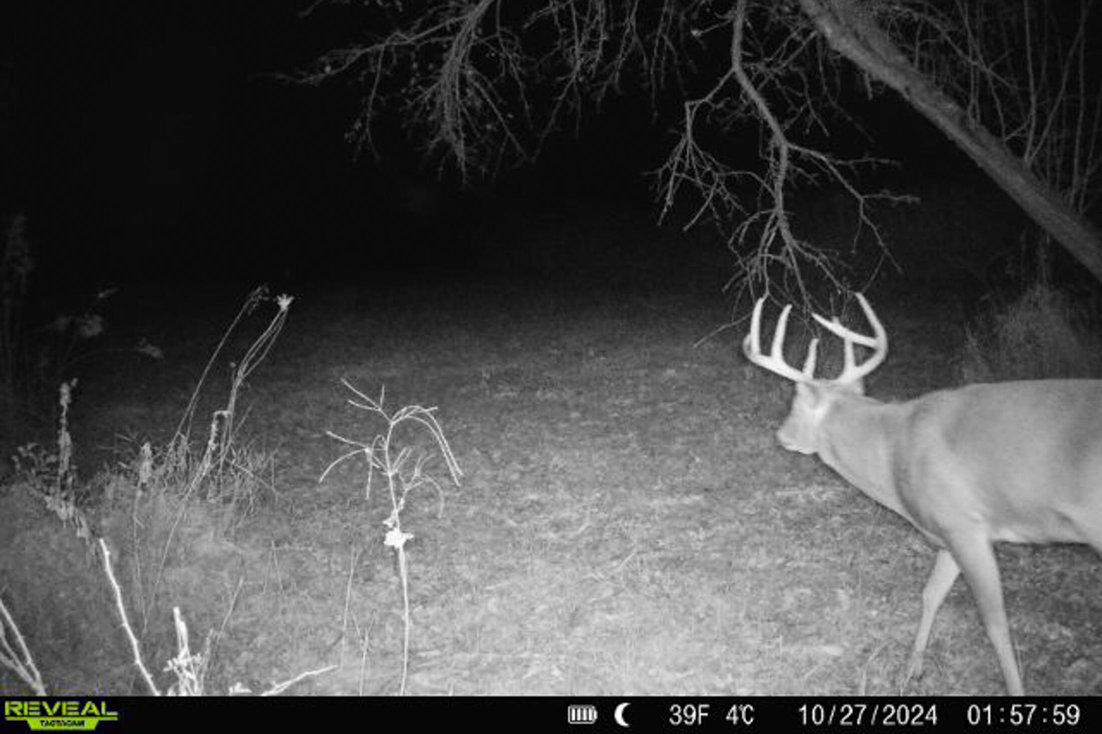 Lt0 Lt0 County Road Boscobel, WI 53805 - Photo 52 of 74 Crawford-County-WI-86-Acres-Land-For-Sal