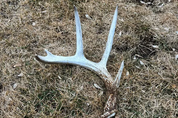 $650,000 | Lt0 Lt0 County Road, Boscobel, WI 53805