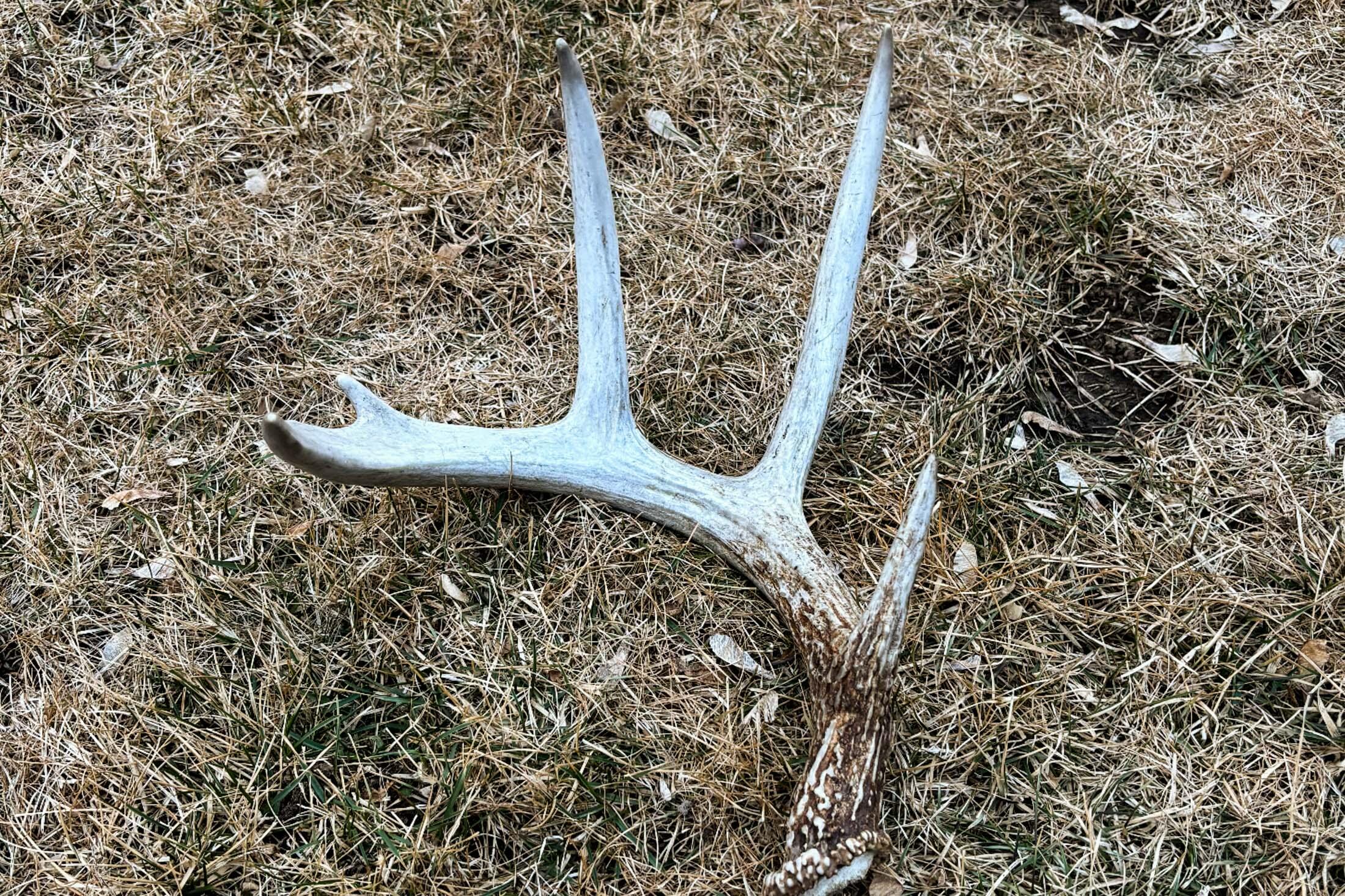 Lt0 Lt0 County Road Boscobel, WI 53805 - Photo 54 of 74 Crawford-County-WI-86-Acres-Land-For-Sal