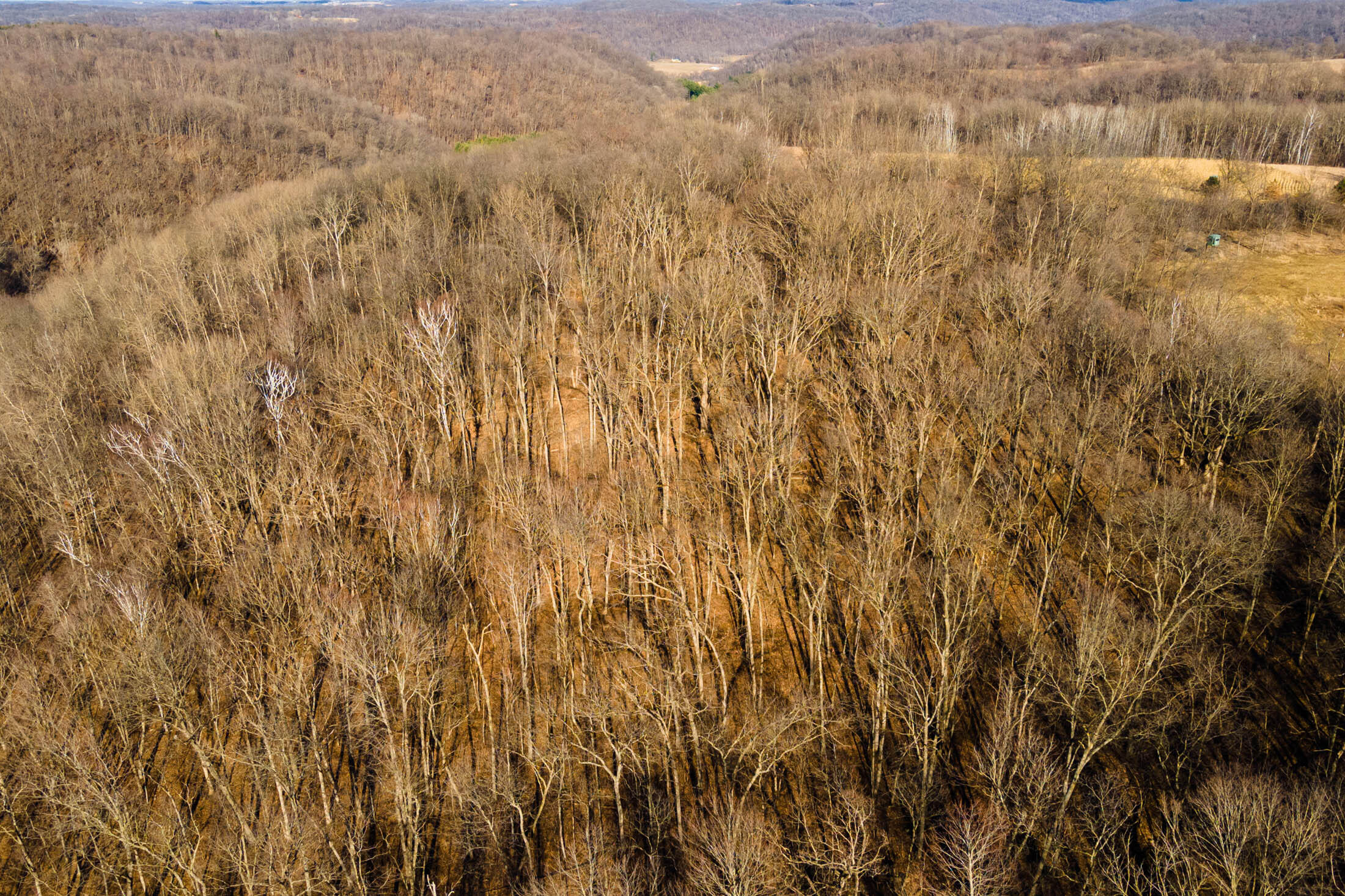 Lt0 Lt0 County Road Boscobel, WI 53805 - Photo 55 of 74 Crawford-County-WI-86-Acres-Land-For-Sal