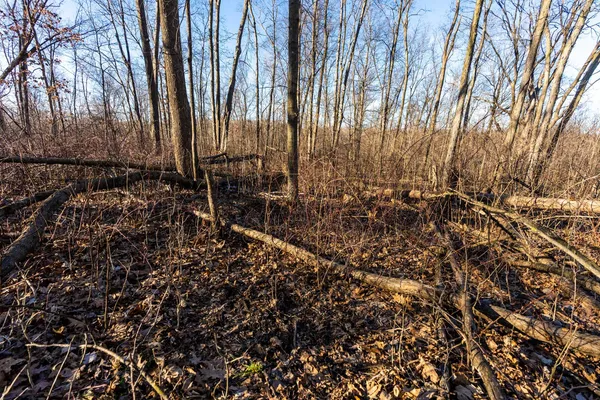 $650,000 | Lt0 Lt0 County Road, Boscobel, WI 53805