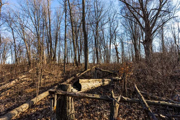 $650,000 | Lt0 Lt0 County Road, Boscobel, WI 53805