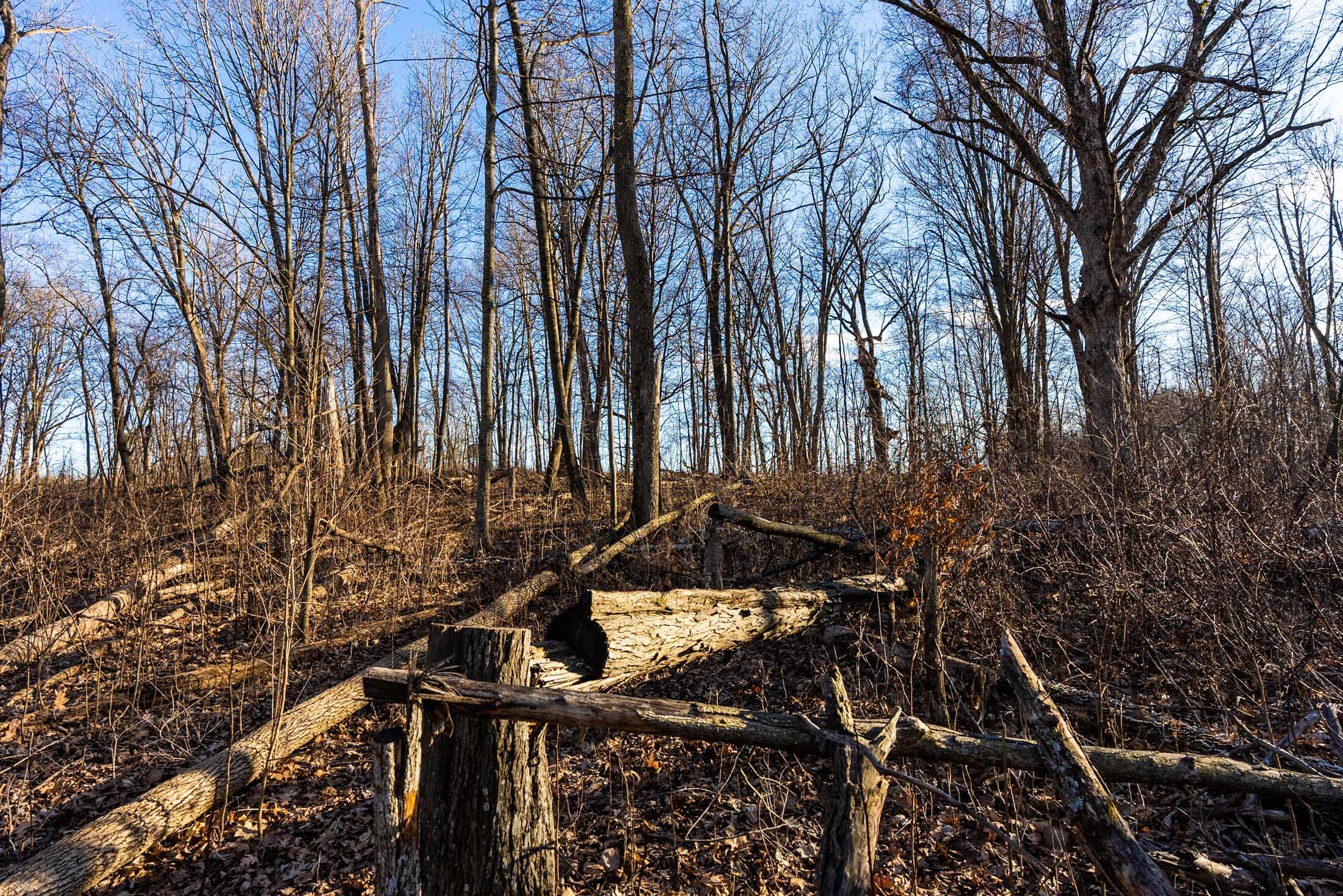 Lt0 Lt0 County Road Boscobel, WI 53805 - Photo 57 of 74 Crawford-County-WI-86-Acres-Land-For-Sal