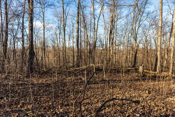 $650,000 | Lt0 Lt0 County Road, Boscobel, WI 53805