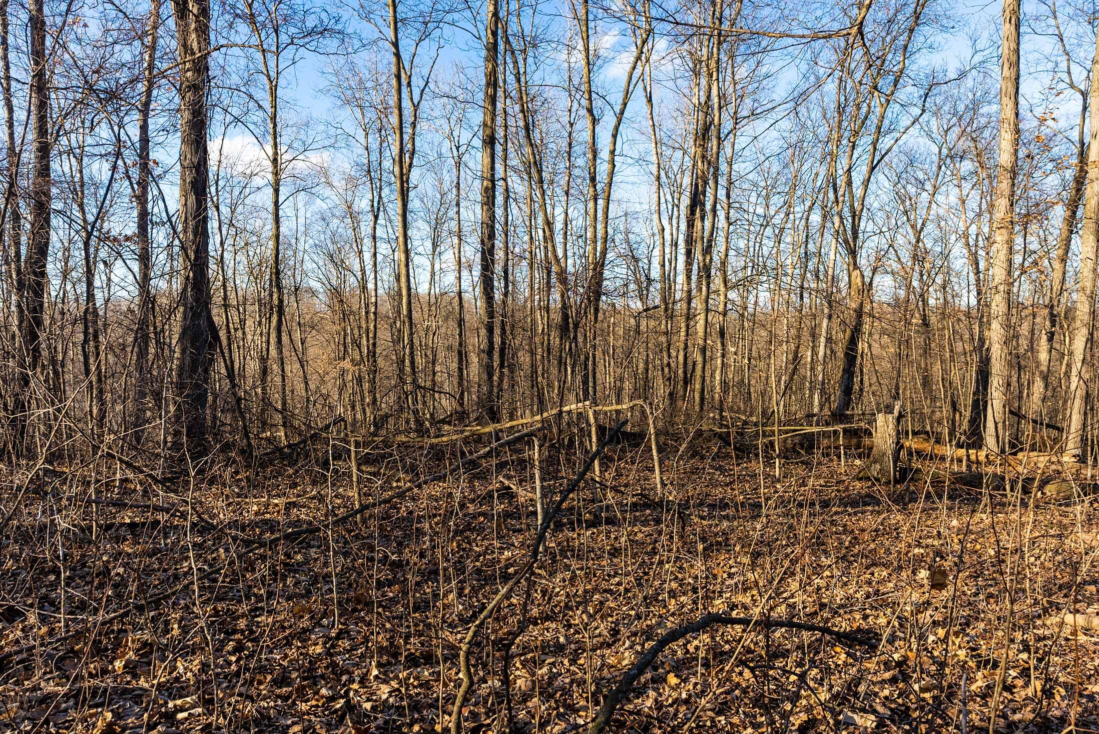 Lt0 Lt0 County Road Boscobel, WI 53805 - Photo 58 of 74 Crawford-County-WI-86-Acres-Land-For-Sal