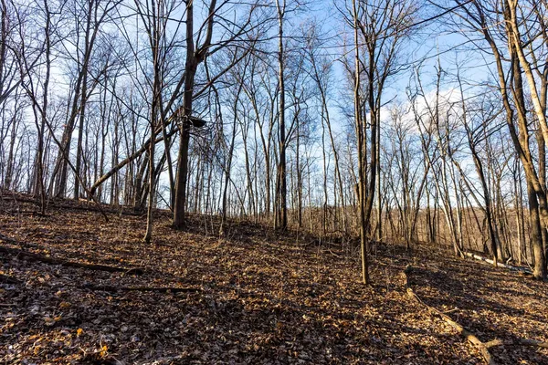 $650,000 | Lt0 Lt0 County Road, Boscobel, WI 53805
