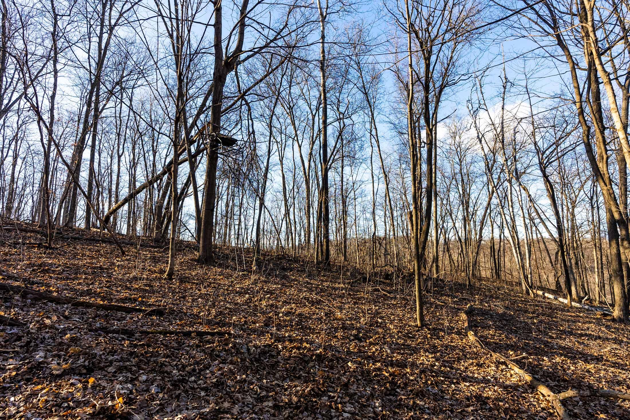 Lt0 Lt0 County Road Boscobel, WI 53805 - Photo 59 of 74 Crawford-County-WI-86-Acres-Land-For-Sal
