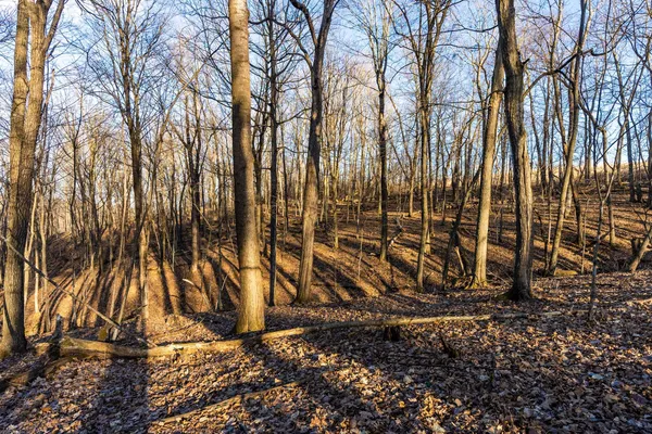 $650,000 | Lt0 Lt0 County Road, Boscobel, WI 53805