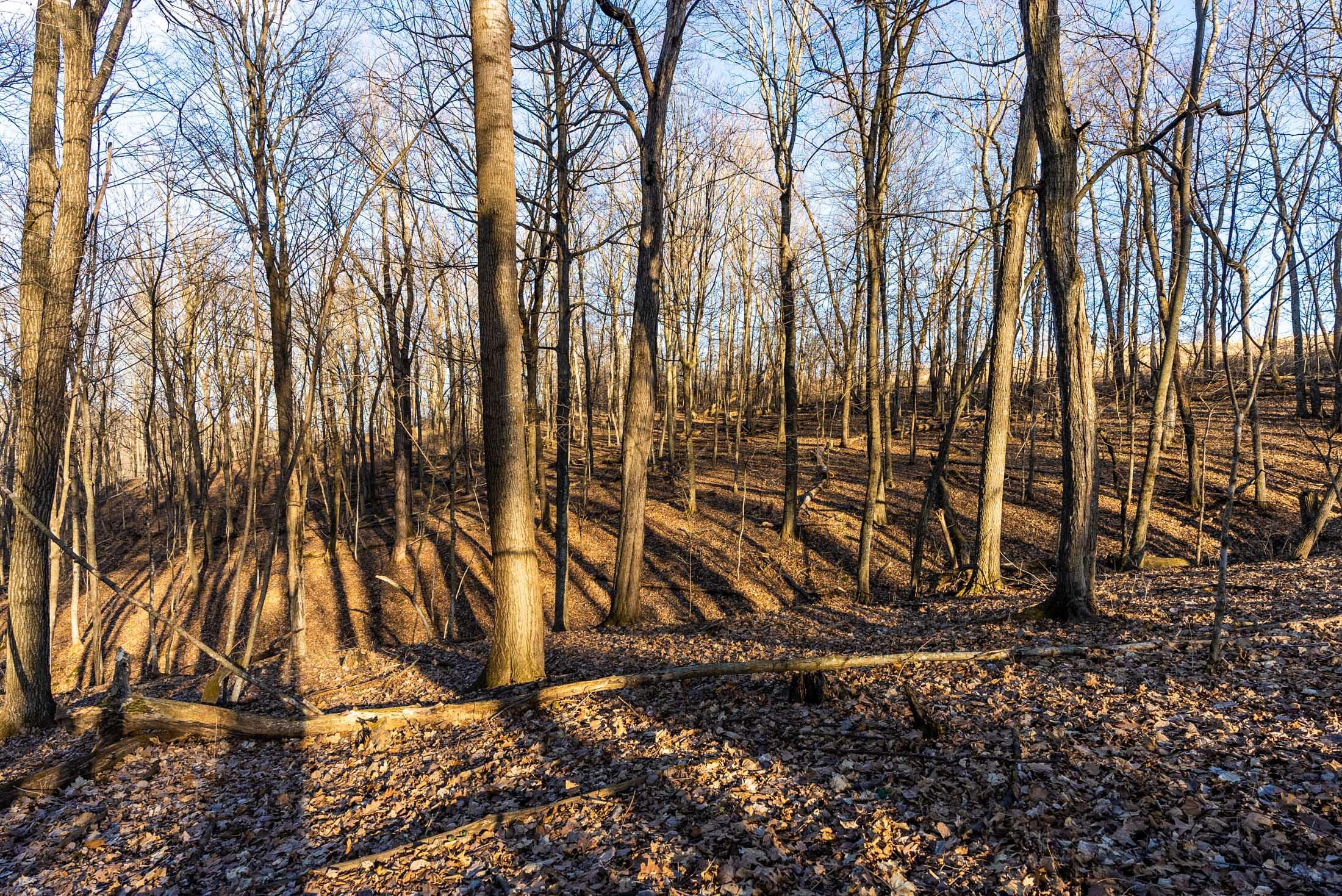 Lt0 Lt0 County Road Boscobel, WI 53805 - Photo 60 of 74 Crawford-County-WI-86-Acres-Land-For-Sal
