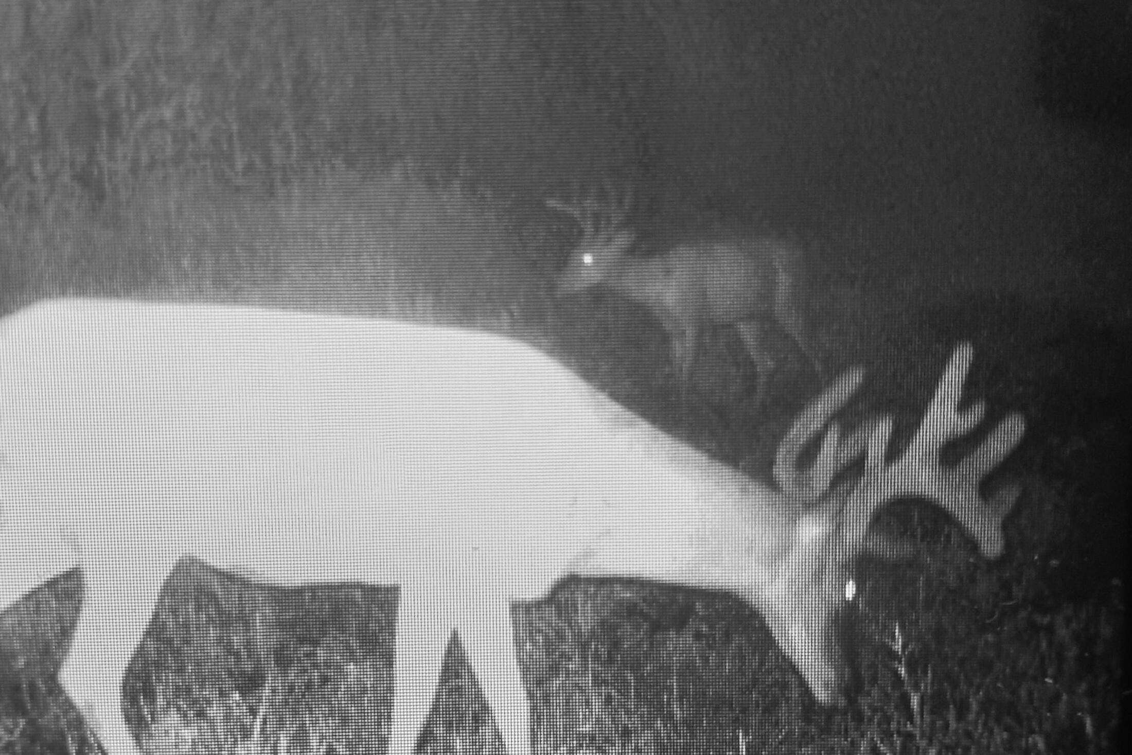 Lt0 Lt0 County Road Boscobel, WI 53805 - Photo 6 of 74 Crawford-County-WI-86-Acres-Land-For-Sal