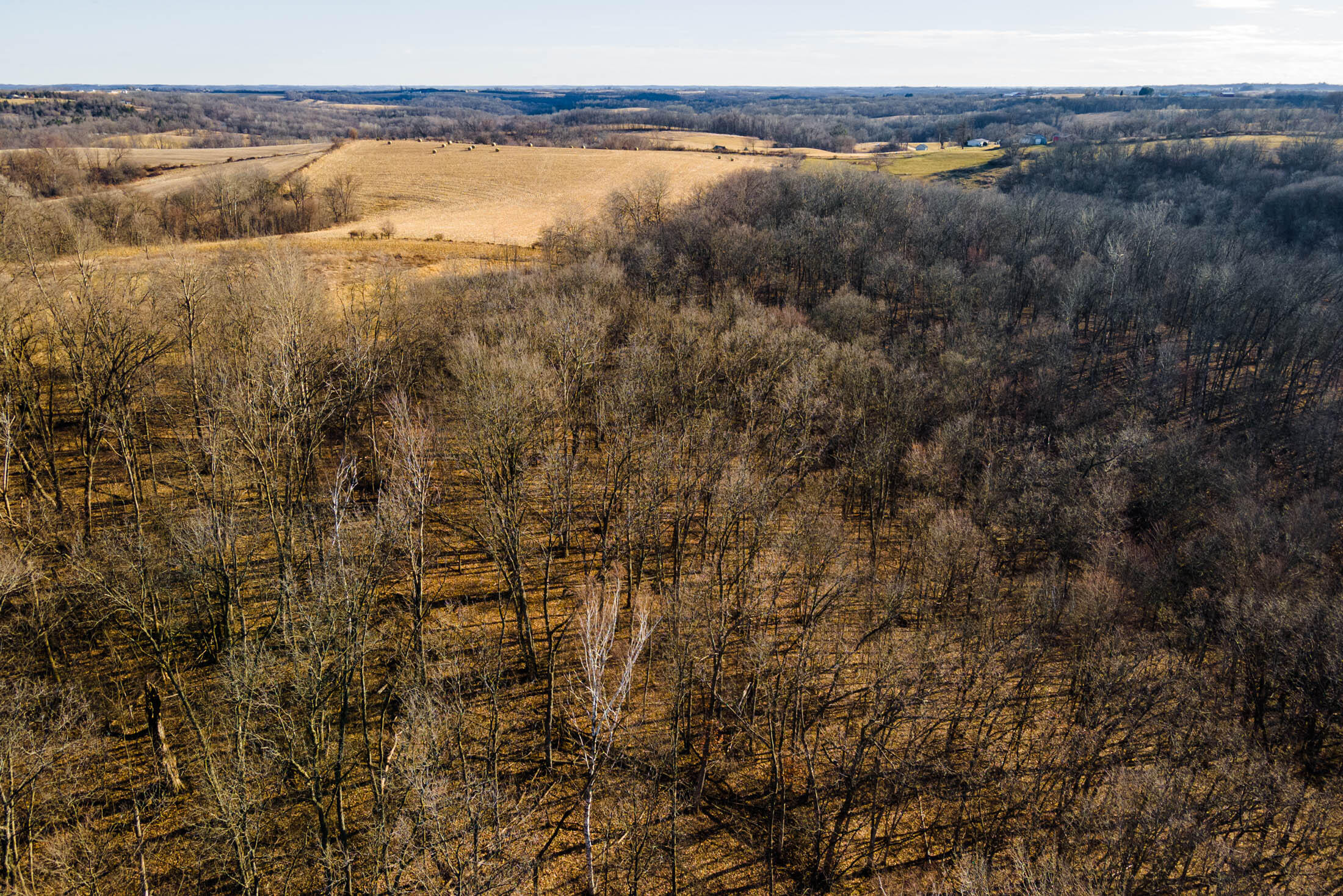 Lt0 Lt0 County Road Boscobel, WI 53805 - Photo 61 of 74 Crawford-County-WI-86-Acres-Land-For-Sal